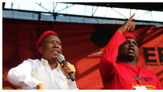 Juju slams Shivambu's violent behaviour, adds all men are trash