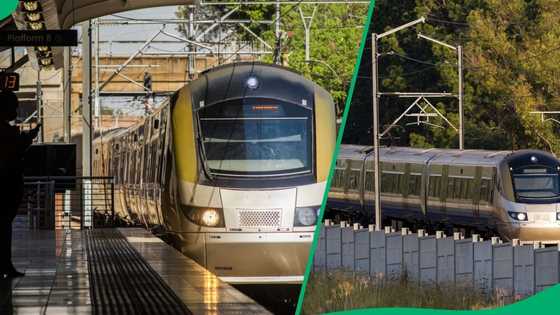 Woman shares how they were rescued from Gautrain that had problems, netizens not happy: "Yoh"