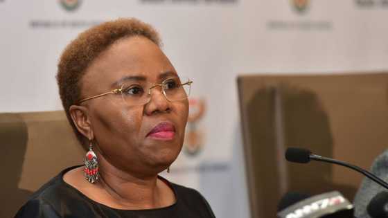 Zulu: SASSA has lost R282 million to fraudsters over past 5 years