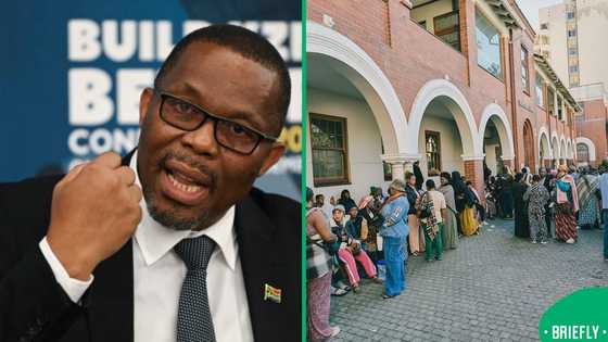 Durban mayor says 300 migrants cleared as legal, only 1 Illegal : SA not convinced