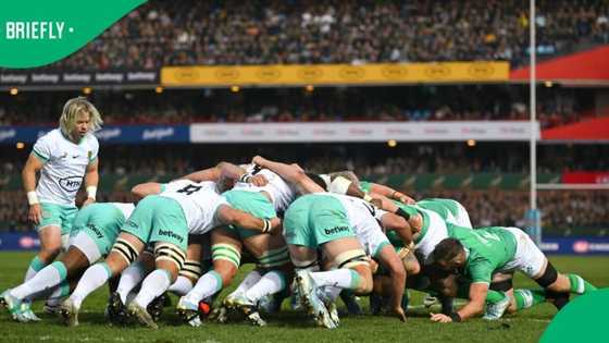 Springbok jersey's value soars: How rugby's elite brand dominates SA