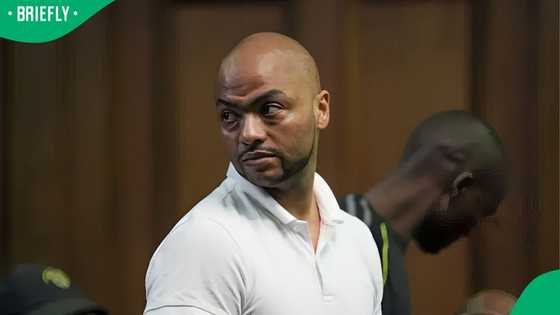 Thabo Bester requests to testify before Parliament's Ad Hoc Committee, South Africans debate