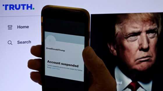 Musk says may take 'weeks' for banned Twitter accounts to be restored