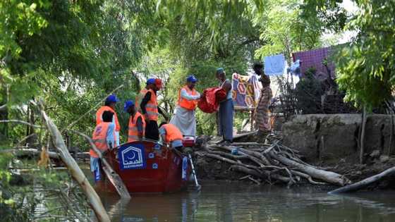 Villagers brave snakes and hunger to protect land in flooded Pakistan