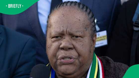 Naledi Pandor faces gun in armed robbery at Pretoria home, South Africa divided