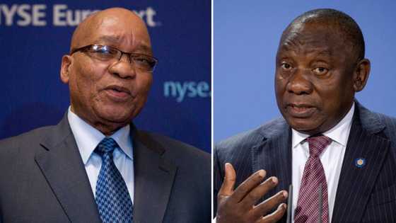 Jacob Zuma’s legal bid against Ramaphosa puts the ANC in an awkward position, Mzansi says the ANC failed Zuma