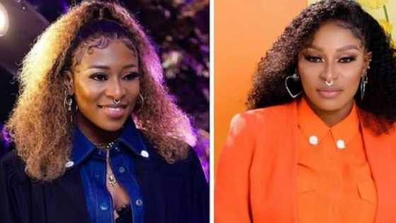 Mzansi applauds DJ Zinhle for her talent: "She is not just the best in South Africa but Africa as a whole"