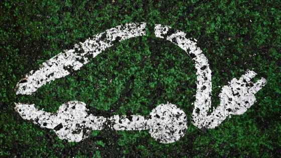 Tens of thousands sign up for French electric car leasing scheme
