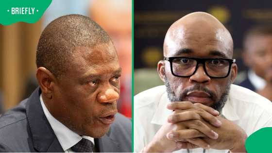 Paul Mashatile maintains he has never met Cat Matlala