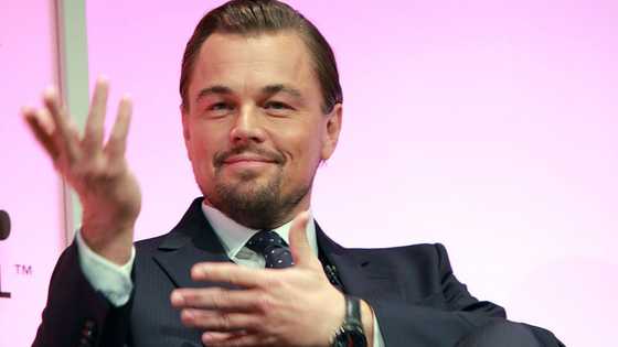 Leonardo 'TreeCaprio': New species of plant named after the actor & climate activist