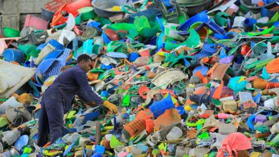 Seeking an 'angel': African startups face funding challenge