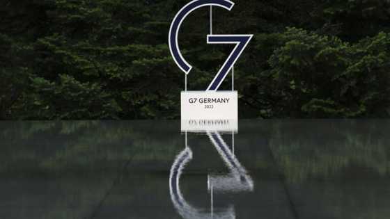 As Ukraine fallout worsens, G7 seeks to woo fence-sitters