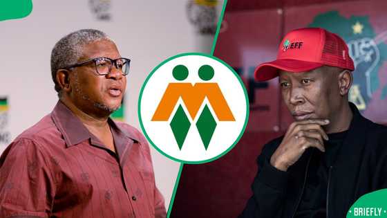 AfriForum could privately prosecute politicians who falsely accused principal in Cwecwe rape case
