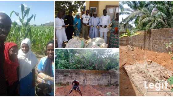 Chiemezie Ezeani: Another graduate who has taken farming as a full-time occupation