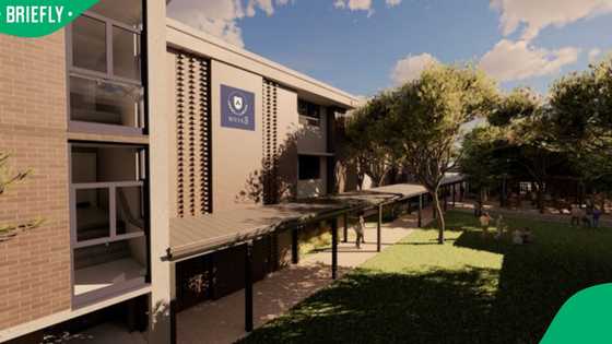 Akademia buys land in Paarl for new Afrikaans university campus