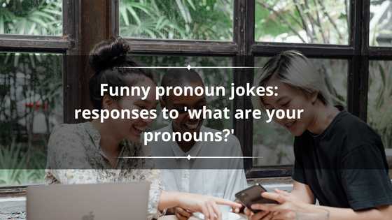 70 funny pronoun jokes: Responses to 'what are your pronouns?'