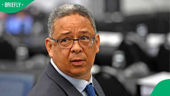 Robert McBride criticised for laughing during Ad Hoc Committee proceedings, South Africans divided