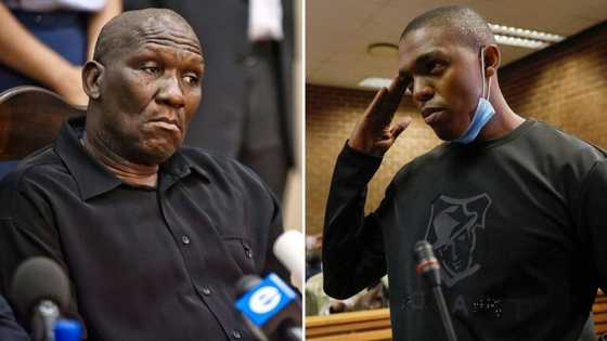 Police Minister's office denies meeting Operation Dudula leader Nhlanhla Lux Dlamini, claim made in court