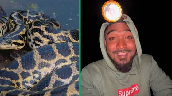 Man fishing at night comes close to massive anaconda, TikTok video goes viral