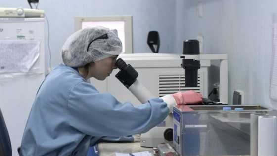 "Our bodies are amazing!": SA marvels as woman’s body rids itself of HIV, 2nd recorded case in the world