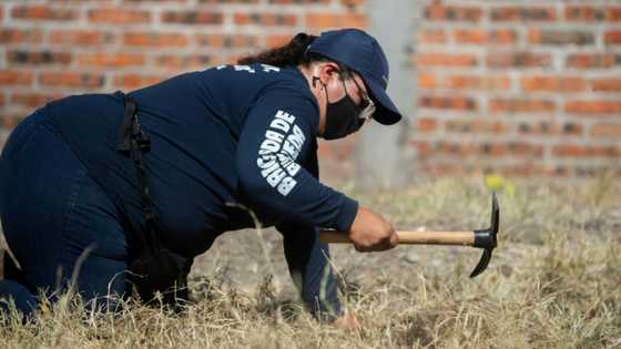 Bloodshed, prosperity meet in Mexico's most violent state