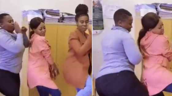 “Funny at work”: Beautiful working babes serve Friyay vibes in viral dance video