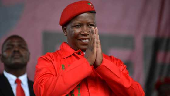 "Ok'salayo we will vote EFF": Malema's supporters behind him despite Hawks R15 million tender fraud probe