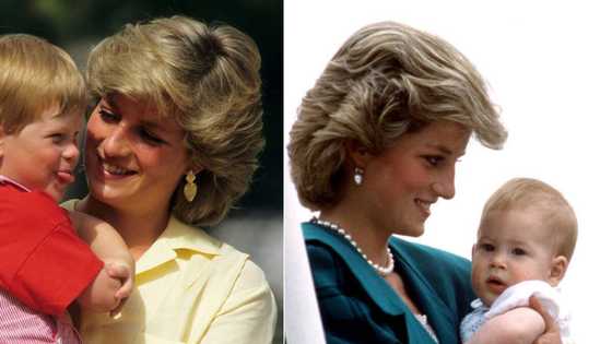 Diana's sister-in-law says princess would have been proud of Harry: #Megxit