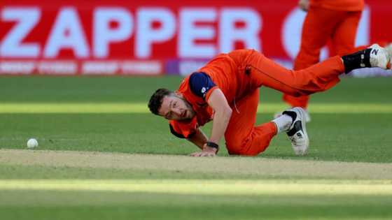 Netherlands beat Zimbabwe for consolation win at T20 World Cup