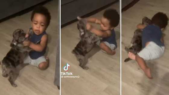 Video of 6-month-old baby wrestling a puppy that wants to play stuns the internet: "The boy is strong as hell"