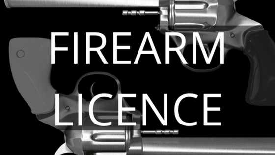 Firearm licence: how to apply, renew and get one in 2024