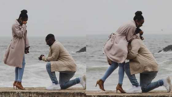 San Francisco photographer on tour spots unknown couple's proposal & captures sweet moment