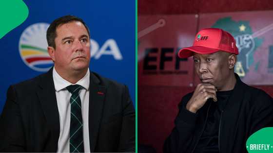 EFF likens John Steenhuisen's comments to putting an international hit on Julius Malema, SA amused