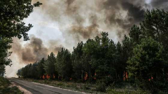 France on alert as forest fires rage in scorching southwest Europe