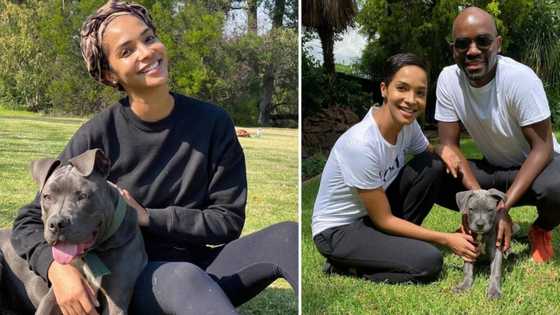Dr Musa Mthombeni and Liesl Laurie celebrate pit bull turning 1, SA upset: "You people are heartless"
