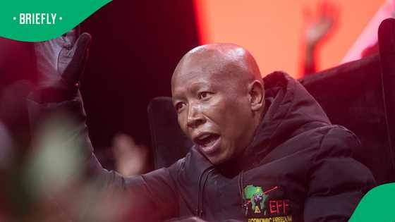 A look at Economic Freedom Fighters' President Julius Malema's R21.6 million property portfolio