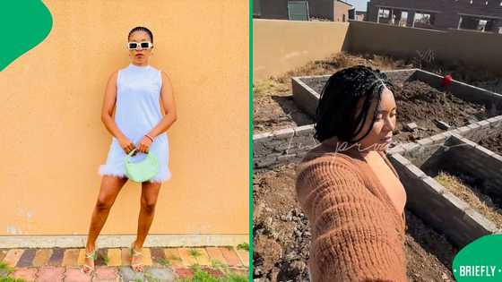 "Thank you for the detailed info": Woman purchases building stand for R85k in Jozi, SA wowed