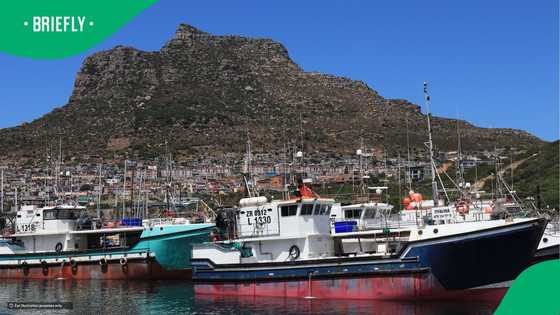 Hout Bay's R114 million estate combines luxury living with commercial potential