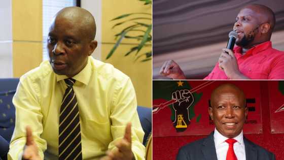 Shivambu warns Mashaba after ActionSA lodges complaint against Malema