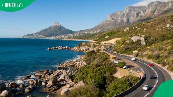 “They’ve found us": SA reacts after Garden Route is ranked the world’s best road trip in 2026