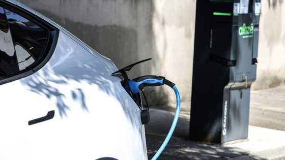 France suspends subsidised electric car scheme after surge