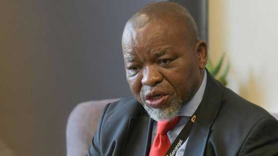 "Tigers don't cry": South Africans react to Gwede Mantashe testing positive for Covid 19