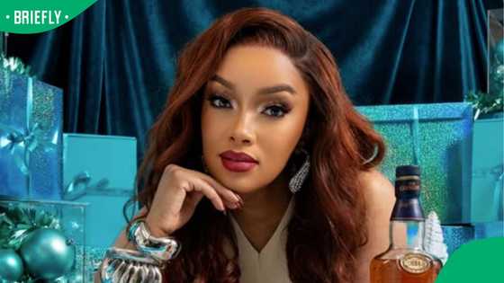 Dineo Langa’s Glenlivet advert sparks fierce backlash over commercialisation of 1956 Women's March