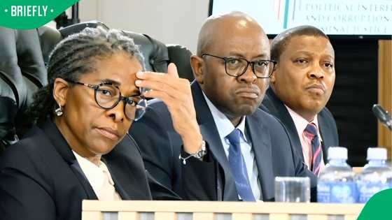 Witness F's chats expose potential sale of 750 guns with former deputy president’s nephew, SA reacts