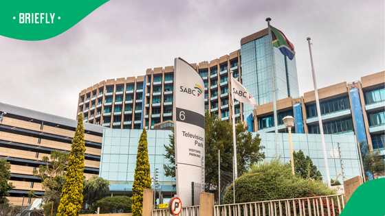 SABC TV licence cancellation: Steps South Africans must follow to avoid problems