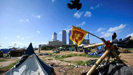 Sri Lanka protest camp clears out after crackdown