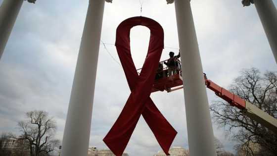 Fourth person 'cured' of HIV, but is a less risky cure in sight?