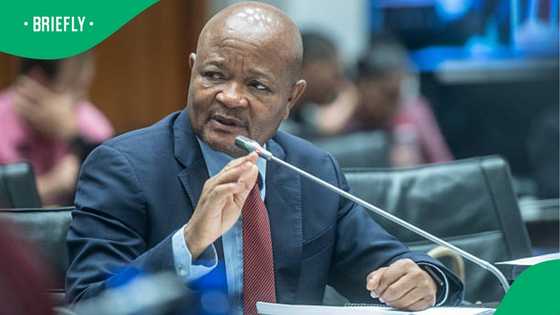 Mchunu denies Witness E allegations, vows to respond at Madlanga Commission