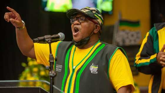 ANC SG Fikile Mbalula called out for failures as he says non-performing members must “shape up or ship out”