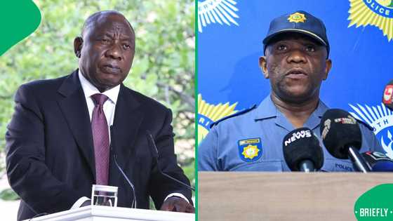 President Cyril Ramaphosa to hold family meeting about Nhlanhla Mkhwanazi's claims, SA wants action